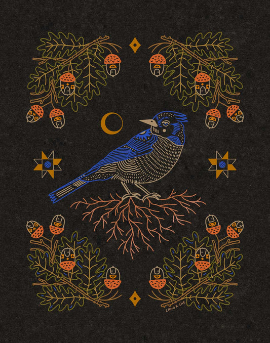 Blue Jay and the Acorns