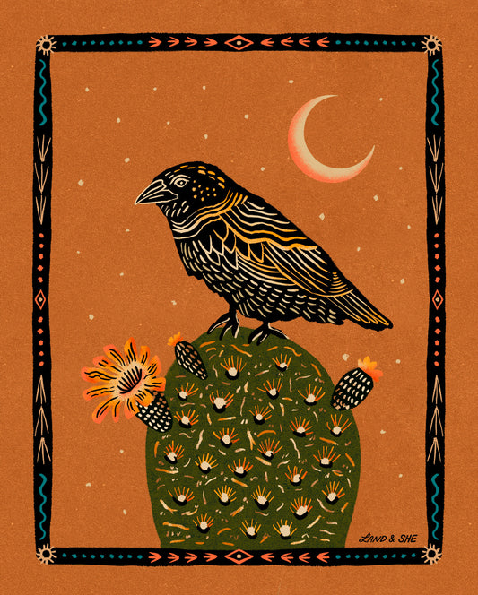 Cactus Wren