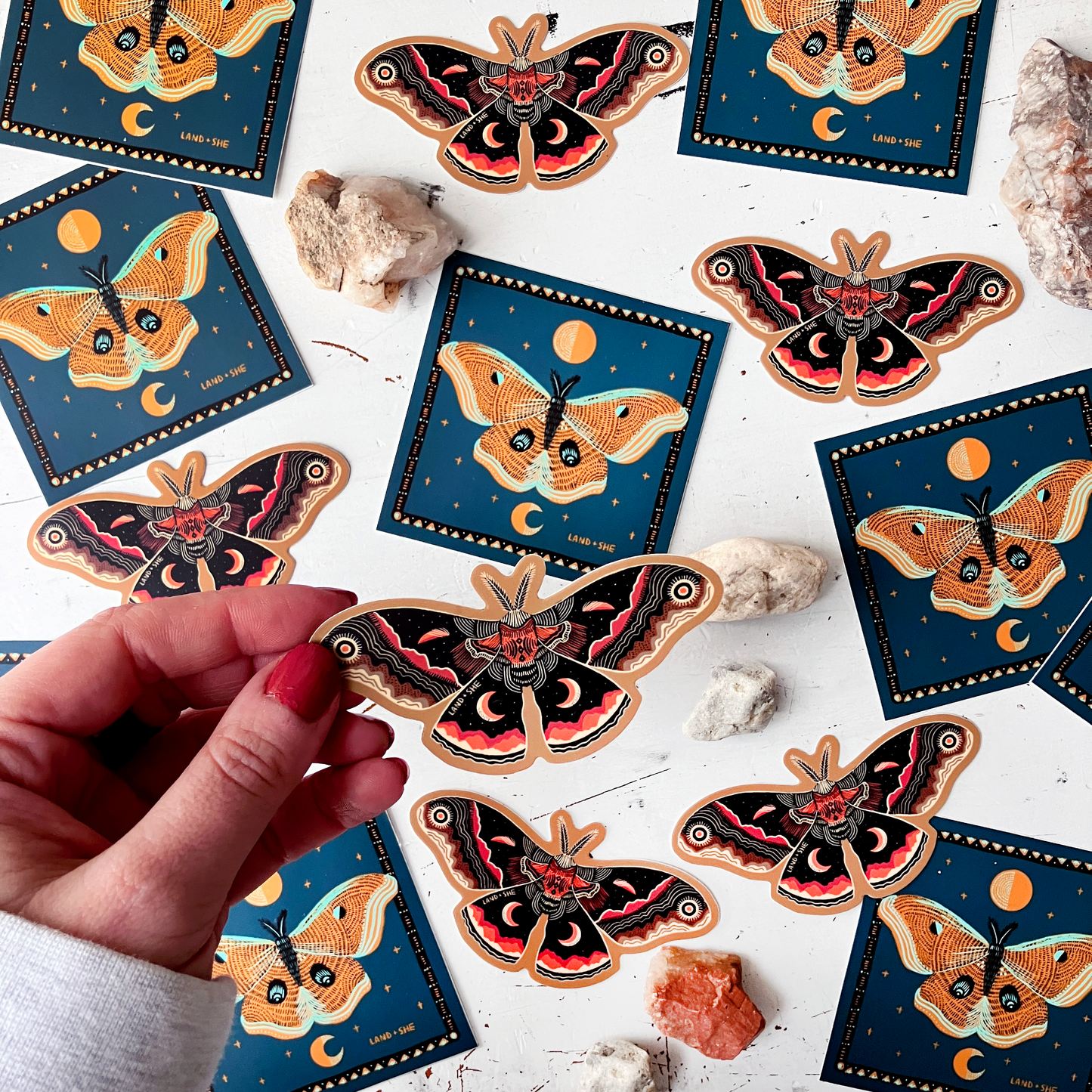 Cecropia Moth Sticker