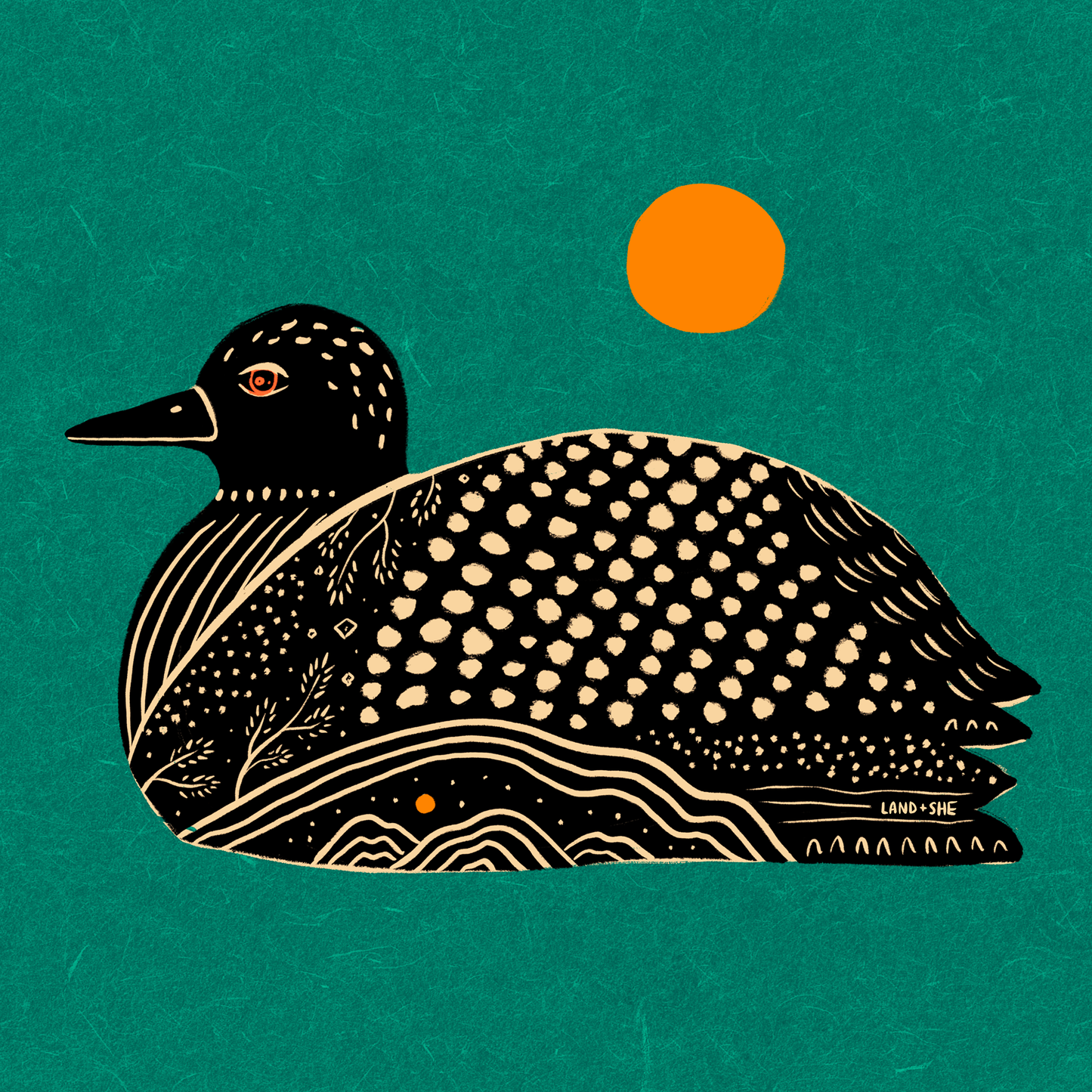 Loon (Teal)