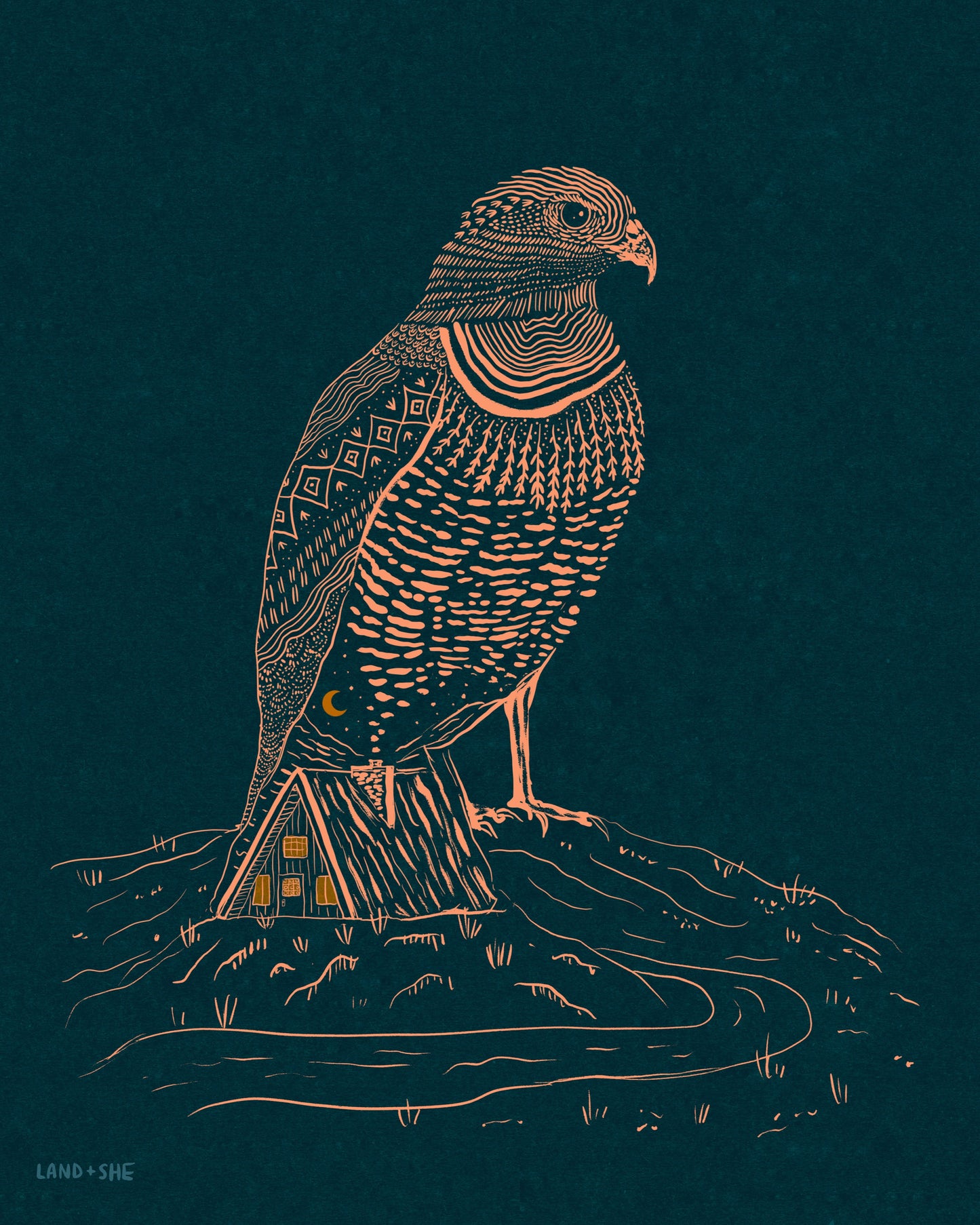 Keeping Watch (Red Tailed Hawk)