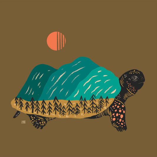 Mountain Turtle