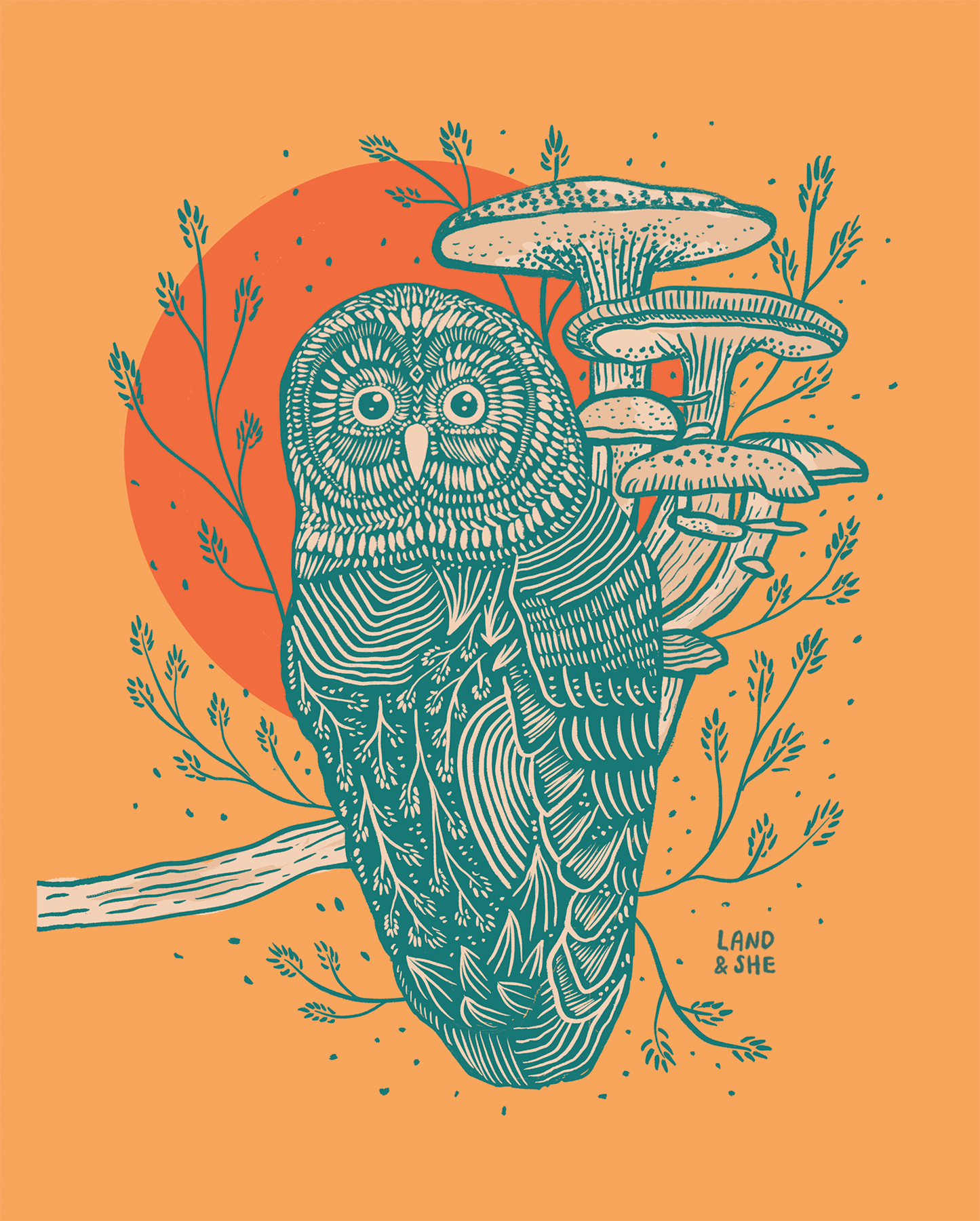 Wild Mushrooms & Owl