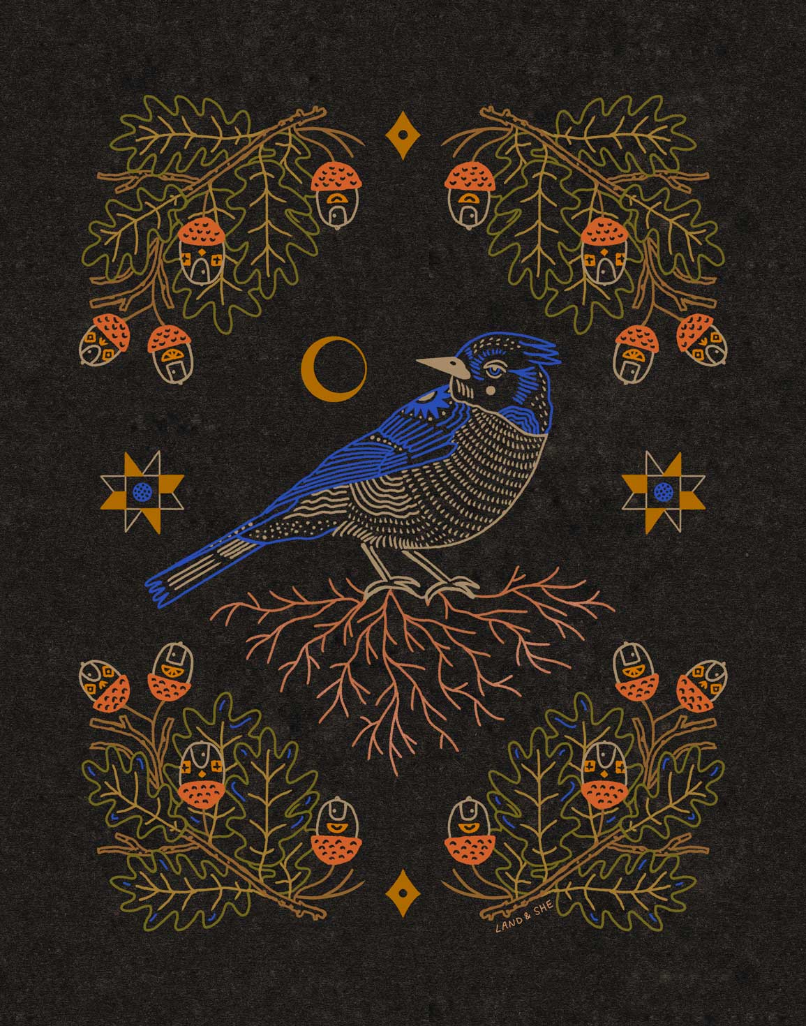 Blue Jay and the Acorns