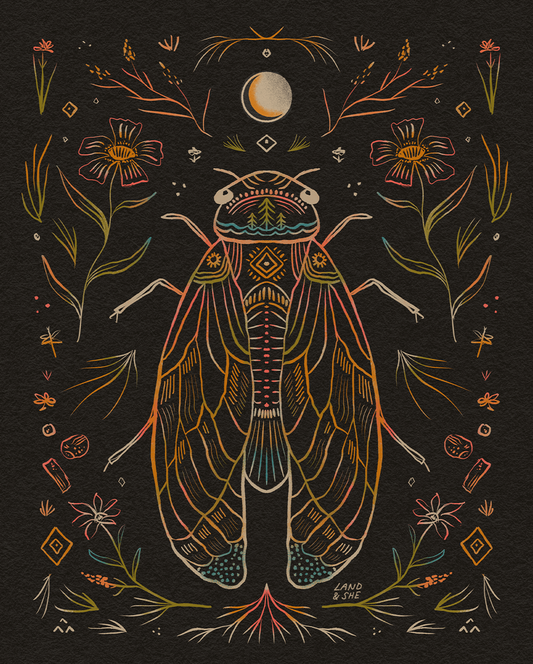 Summer Cicada (Pre-Order)