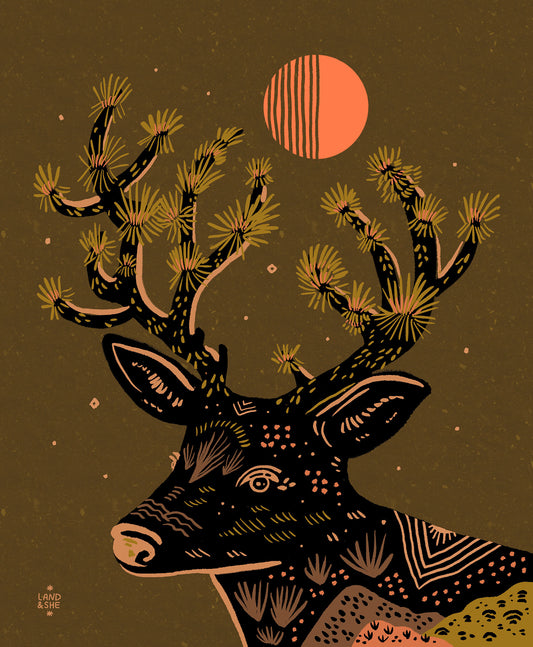 Joshua Tree Deer