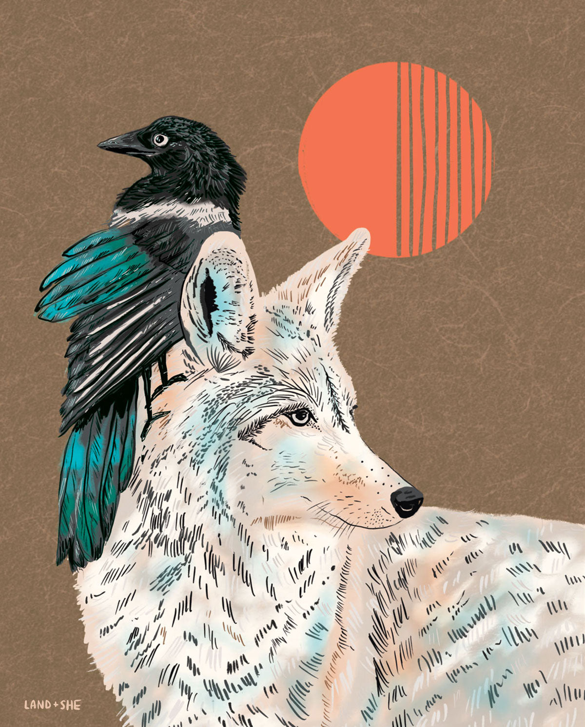 Coyote & Magpie