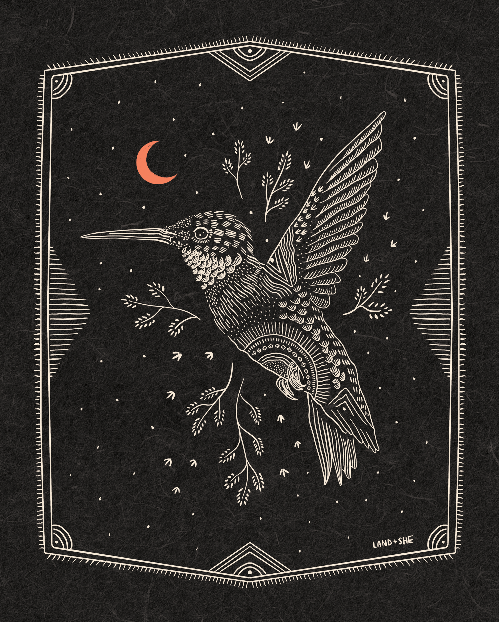 Hummingbird-3.png?v=1680552363