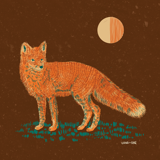 Moonlit Fox