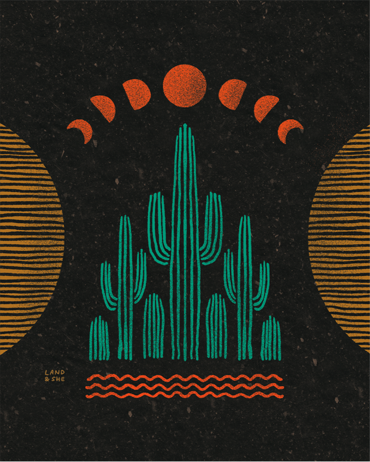 Symmetrical Saguaros