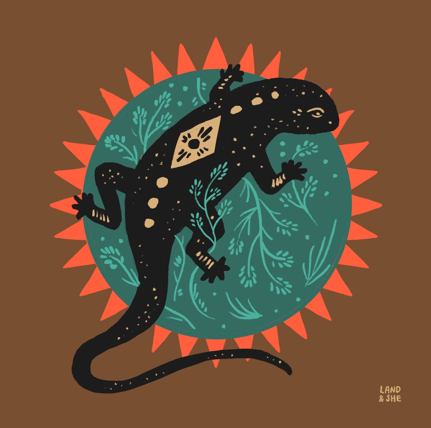 Sun Salamander